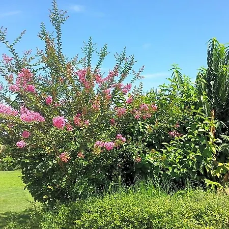 Bertaina Mauro Bed & Breakfast Cavallermaggiore