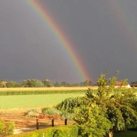 Bed & Breakfast Bertaina Mauro