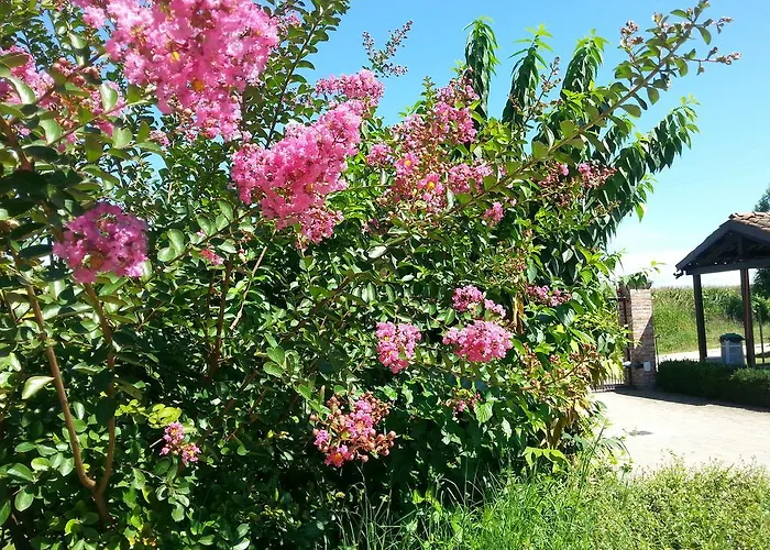 Bertaina Mauro Bed & Breakfast