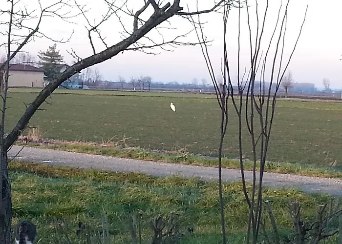 Bed & Breakfast Bertaina Mauro